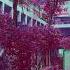 VCR Archive LARIMAR PLAZA FULL ALBUM