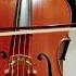 Bach S Cello Suite No 4 Courante Courante Musician Classical Solo Youtubeshorts Shorts