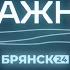 Программа Важно Гость Андрей Саликов