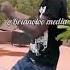 Cheza Namina Hii Prince Indah Dance To Malaika Day Celebrations Song Homabay County