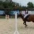 ксксеребрянаялошадь конныйспорт соревнования кавалетти тяжеловоз Equestrian рекомендации