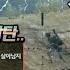 꿀탱탱 여포 Of 여포 Mini14 미친 샷빨 적 보이면 바로 삭제 총 13킬 모두가 감동먹은 배틀그라운드
