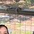 Squirrel Resort Receives 5 Acorns On Squirrel Yelp