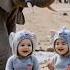 Baby Dudi Dudi Dam Dam Songs Dance Dudi Dudi Dum Dum Shorts Cutebaby Cute Baby Dudidudidamdam