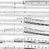 LA PERI By Paul Dukas Audio Score