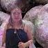 WOW SWEET POTATO And Kamote GIRL Surprise Inside Shorts Sweetpotato Kamote Trending Asmr