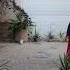 Here Is Bushehr Behi
