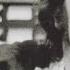 John Lennon Just Like Starting Over 1980 HQ