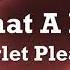 Scarlet Pleasure What A Life Lyrics From Another Round Druk