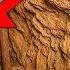 I Explored 100 Year Old Abandon Copper Mines Panic Inducing