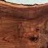 Shop Exotic Live Edge Slabs With Ease Woodworking