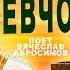 ДЕРЕВЕНСКАЯ ДЕВЧОНКА поет Вячеслав Абросимов