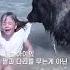 개가 아이를 물고 끌고 간 이유는