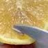 How To Grow Tons Of Lemons In A Pot 3 Years Passes By Quick Promise Howtowithjessie