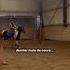 Horse Equestrianjourney Equestrian Pony Cheval Riding Poney