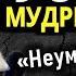 Русские мудрые мысли пословицы и поговорки цитаты и афоризмы народная мудрость России