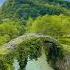 A Piece Of A Fairy Tale A View Of The Basletsky Bridge In Sukhumi Abkhazia Shorts Travel