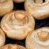 I Put 9 Mushrooms In The Air Fryer What Came Out Was Incredible
