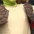 The Making Of Shrek The Musical The Opening Night