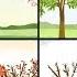 Why Do We Have Seasons Spring Summer Fall Winter Science For Kids