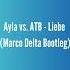 Ayla Vs ATB Liebe Marco Delta Bootleg