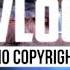 Xad Birds Vlog No Copyright Music