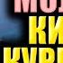 ҚУРБОНЛИК МОЛЛАРИ КИМЛАР ҚУРБОНЛИК ҚИЛАДИ