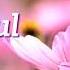Cultivate Gratitude 10 Minute Morning Meditation Mindful Movement