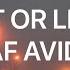 Asaf Avidan Love It Or Leave It Lyrics Español Inglés