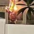 Owner Of Home Housing Cross Burning Suspects Calls Injunction Request Overreach