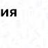 Трахея и бронхи АНАТОМИЯ строение трахеи строение бронхов топография трахеи