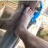 Urban Climber S Worst Nightmare Climbing Extremesports