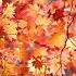 Enchanting Autumn Instrumental Music Relaxing Nature Music For Stress Relief Shorts