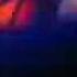 Aysel Ft Arsh Always Moscow WWW YARPAQ AZ