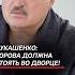 Лукашенко Корова должна стоять во дворце беларусь лукашенко политика новости