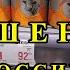 Тушенка за 92 рубля