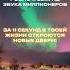 ЗВУК МИЛЛИОНЕРОВ ПОСЛАНИЕ ОТ ВСЕЛЕННОЙ Полное видео 1 11 уже на канале Yumeditations