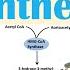 Cholesterol Synthesis How Our Bodies Make Cholesterol