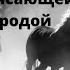Wild Horses Релакс Музыка Дикие Лошади Relax