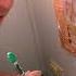 World S Deadliest Spider Invades Family Home Untamed Wildlife Documentary Funnelweb Venom