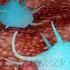 White Blood Cells VS Virus 3d Animation