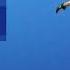 Fortnite Pull Up Emote Showcase
