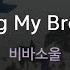 Swing My Brother 비바소울 KY 68967 KY KARAOKE