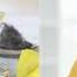 What Are Acids Bases Chemistry Basics