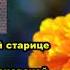 Акафист Блаженной старице Евфросинии Колюпановской Христа ради юродивой