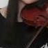 Michael Jackson They Don T Care About Us Violin Cover