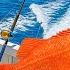Deep Sea Fishing 8 Hours Off California Coast GIANT Fish Haul
