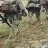Greatest Rock N Roll Vietnam War Music 60s And 70s Classic Rock Songs Vol 9 Top Rock Song