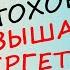 Как Зарядить Митохондрии и Повысить Энергию Организма