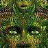 Liquid Soul Crazy People Twelve Sessions Full On Mashup